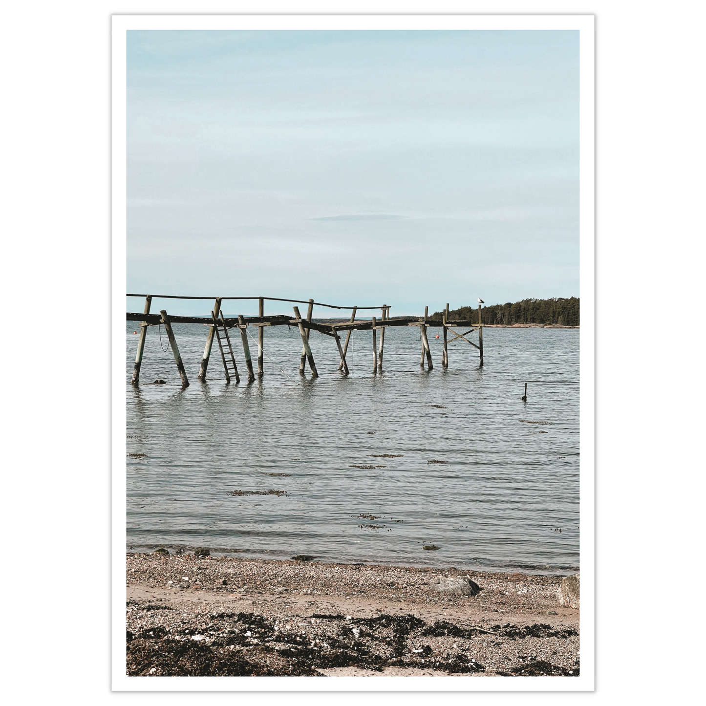 Gammel brygge, strandkant, sjø og hvite skyer ved Saltnes. Vakkert norsk kystlandskap i Østfold som vil være dekorativ på en fotoplakat. 
