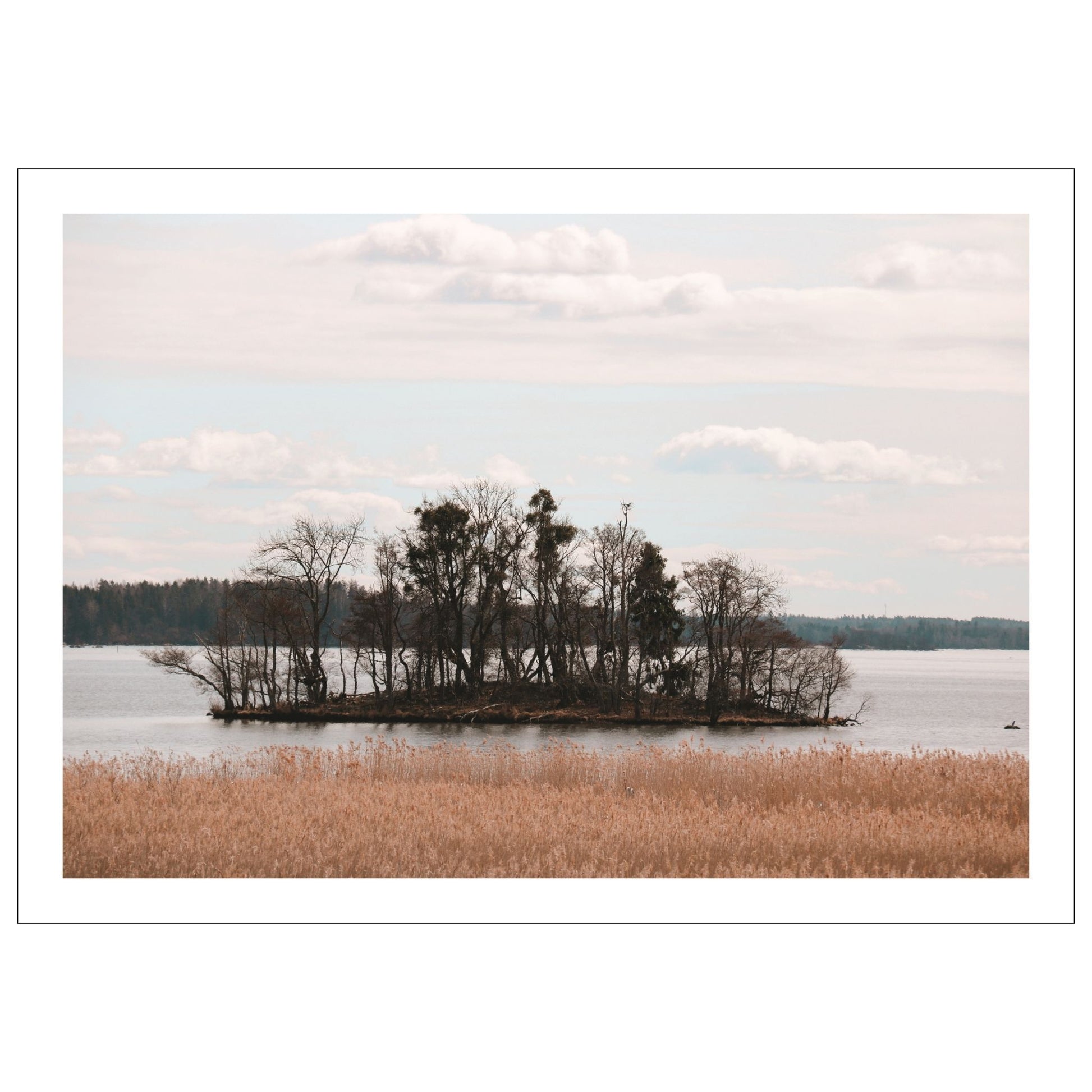 Dykk inn i en verden av sublim natur og opplev øyen Tidö-Lindös magi i april. Vårt unike bilde fanger øyeblikket av en vakker utsikt over vann, siv og holmer ved Mälaren. 