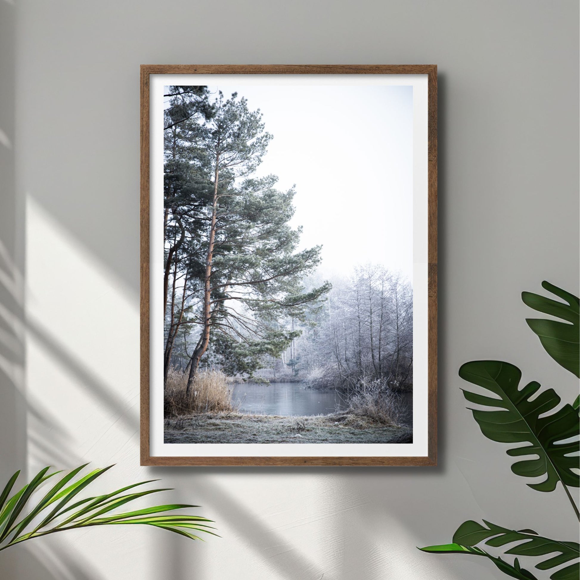 Dette motivet fanger essensen av et stille, vinterlig landskap, med snødekte trær ved en islagt innsjø. Illustrasjonsfoto viser motiv i mørk ramme.