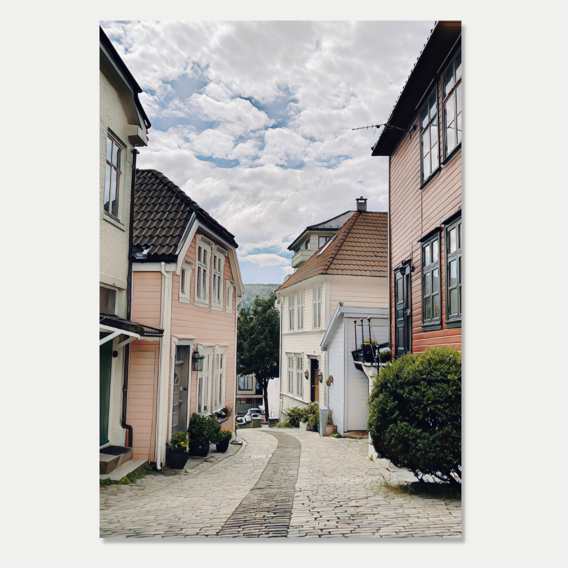 Trehusbebyggelse i Skottegaten, Nordnes – Bergen. En gate med velholdte gamle trehus. illustrasjon viser motivet på lerret.