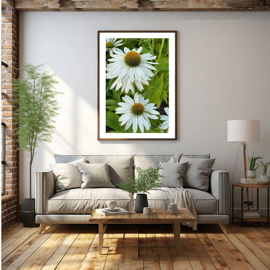 Hvit solhatt i full blomstring. Motivet er dekorativt både som plakat og på lerret. Miljøbildet viser motivet i sort ramme på en vegg over en sofa. 