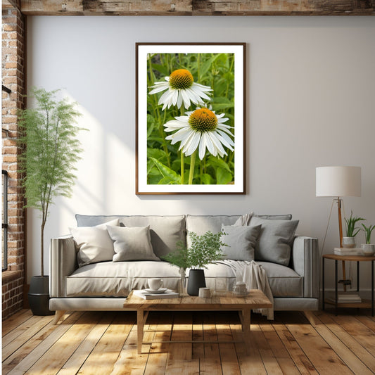Hvit solhatt i full blomstring. Motivet er dekorativt både som plakat og på lerret. Miljøbildet viser motivet i sort ramme. 