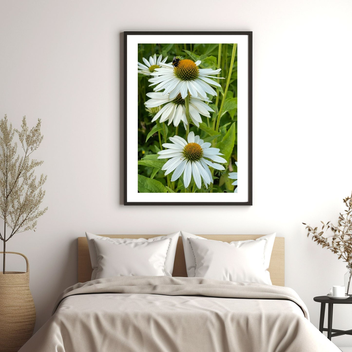 Eng med hvit solhatt i full blomstring. En bie sitter på den ene blomsten. Motivet er dekorativt både som plakat og på lerret. Miljøbildet viser motivet i sort ramme hengende over en seng.