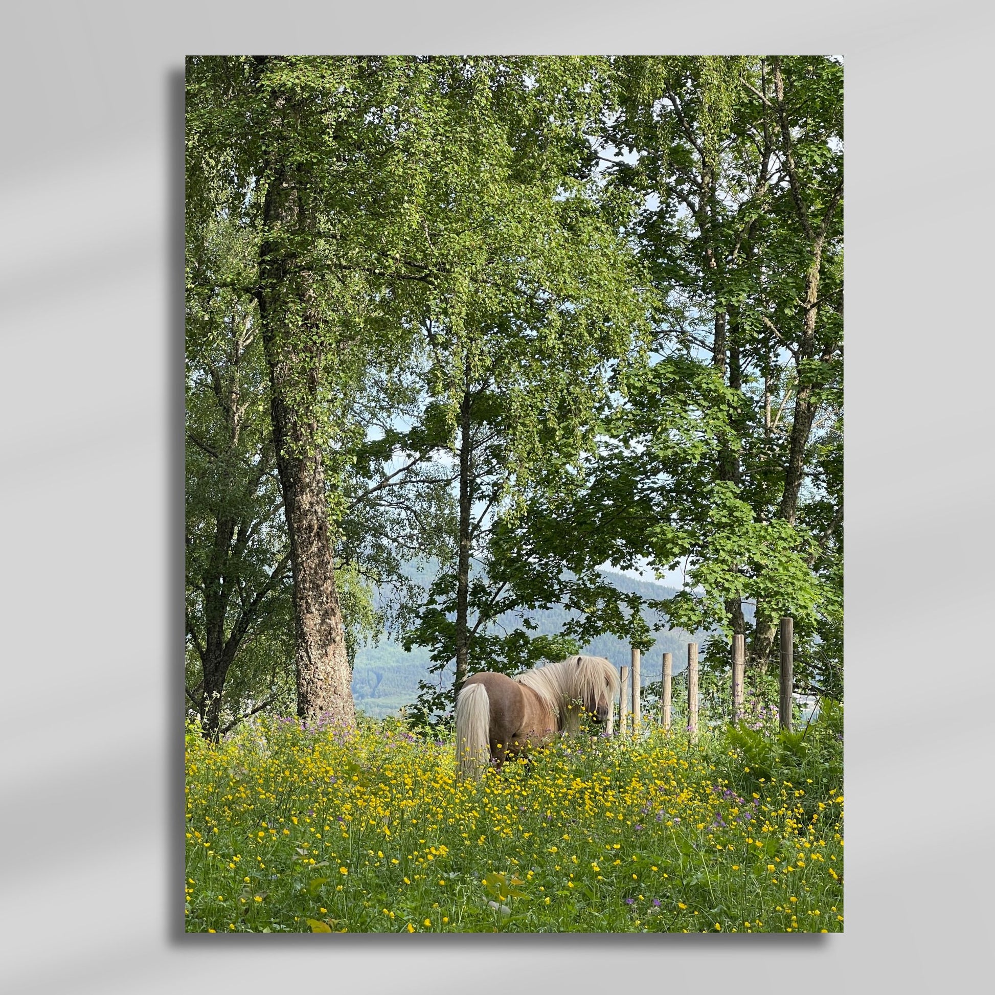 Sigridstien – Hest i Blomstereng er et romantisk og levende motiv av en hest omgitt av markblomster i full blomst. Illustrasjon viser motivet