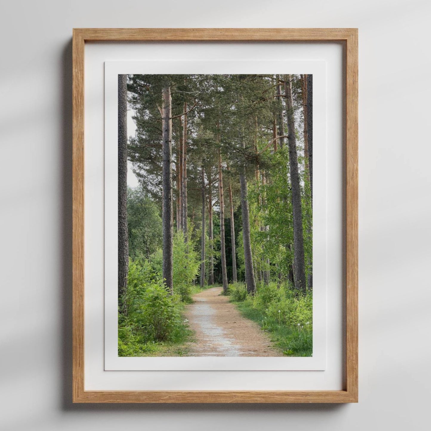 Stien snor seg gjennom slanke, høye trestammer og grønn undervegetasjon – et motiv som skaper romfølelse, ro og kontakt med naturen. Illustrasjonen viser motivet som plakat med hvit kantlinje i eik ramme.