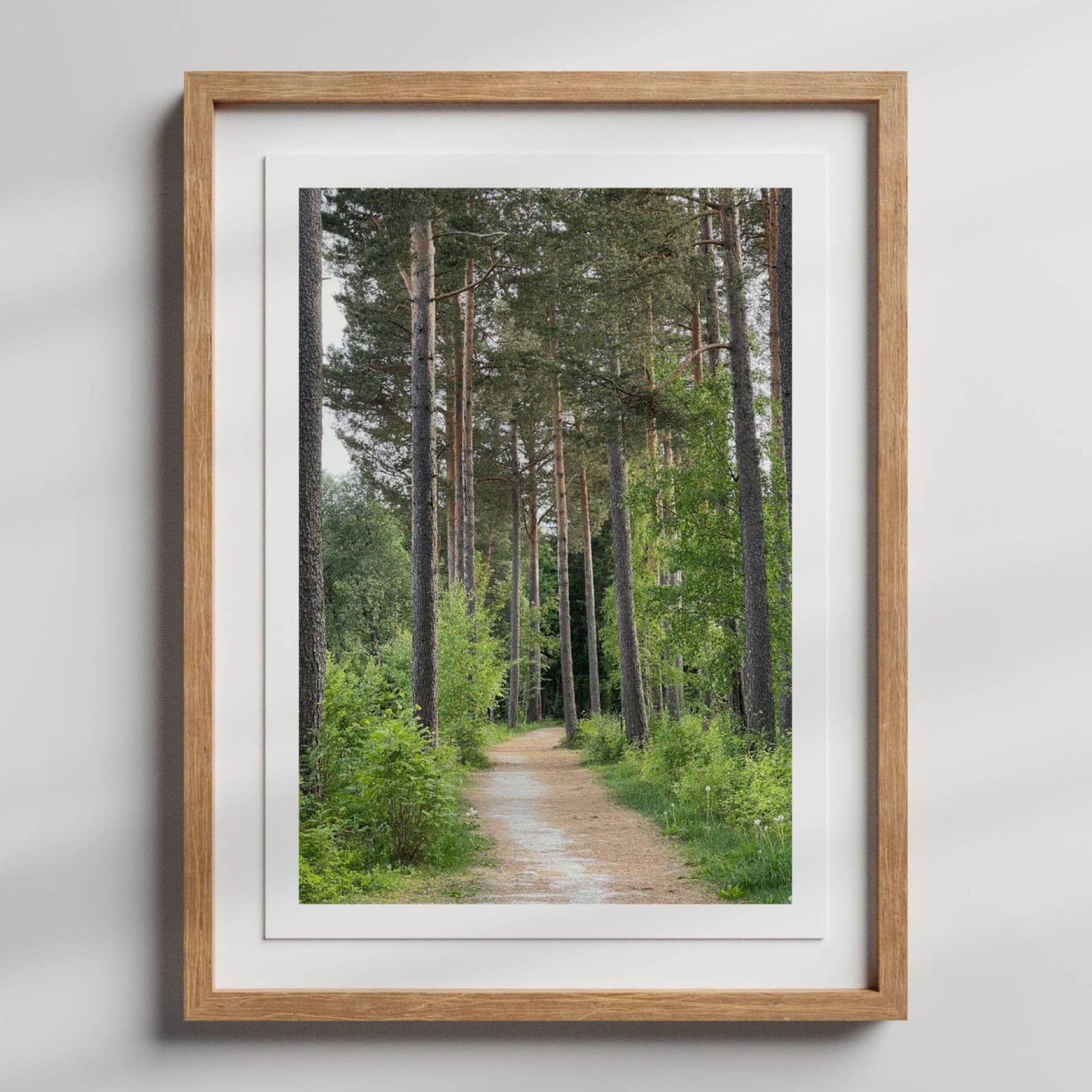 Stien snor seg gjennom slanke, høye trestammer og grønn undervegetasjon – et motiv som skaper romfølelse, ro og kontakt med naturen. Illustrasjonen viser motivet som plakat med hvit kantlinje i eik ramme.