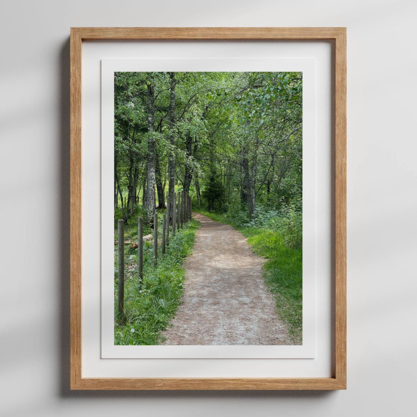 Dette er natur på sitt mest tilgjengelige og ekte – et bilde som passer perfekt for deg som ønsker et rolig og velbalansert uttrykk på veggen. Illustrasjon viser motivet som plakat med hvit kantlinje i eik ramme.