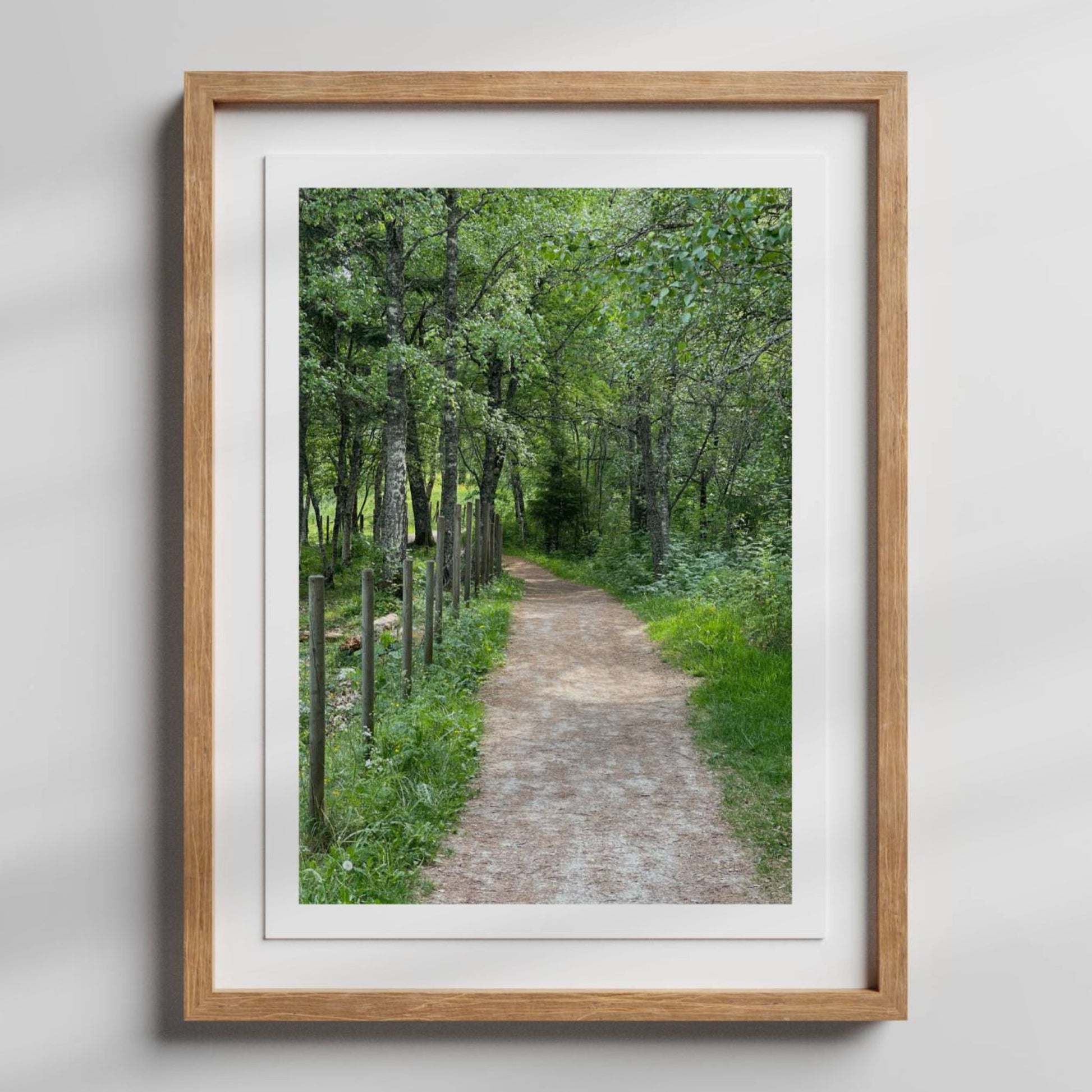 Dette er natur på sitt mest tilgjengelige og ekte – et bilde som passer perfekt for deg som ønsker et rolig og velbalansert uttrykk på veggen. Illustrasjon viser motivet som plakat med hvit kantlinje i eik ramme.