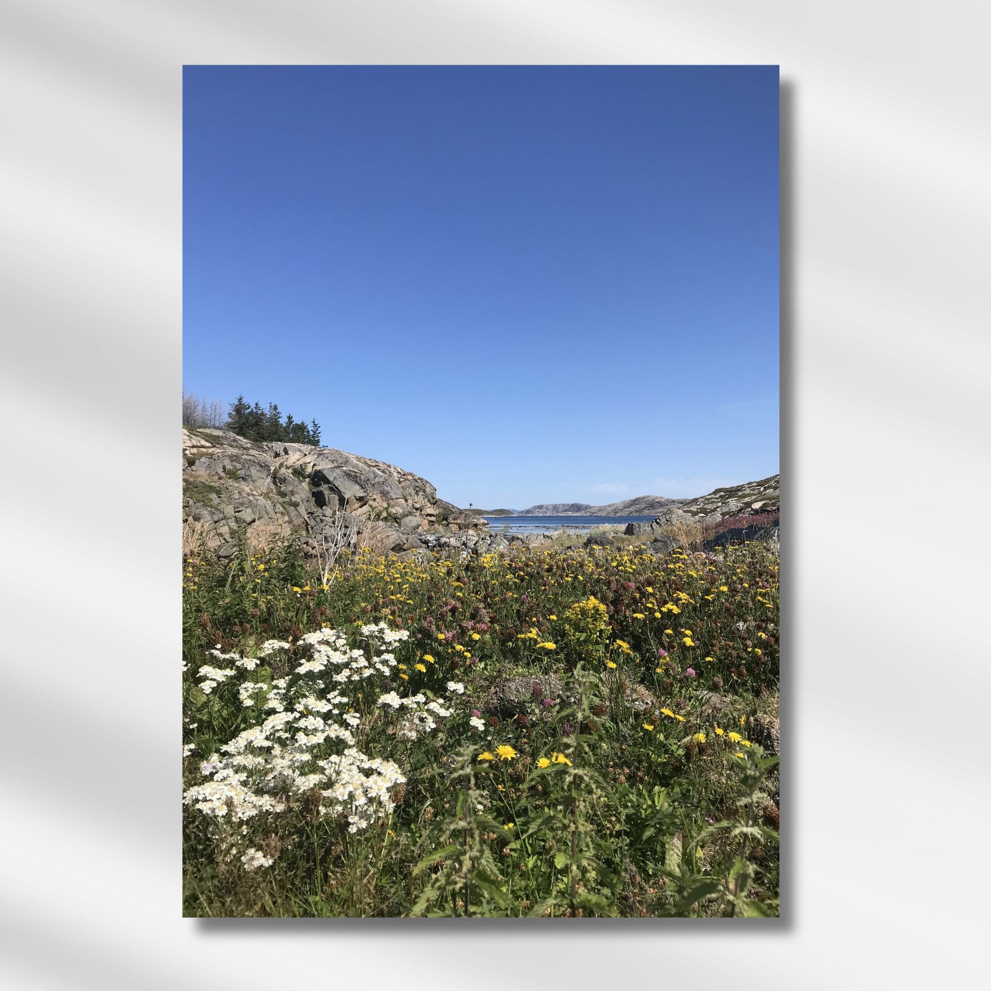 Dette bildet balanserer blomstrende detaljer i forgrunnen med fjell, himmel og sjø i horisonten – en harmonisk blanding av liv og landskap. Illustrasjon viser motivet på lerret.