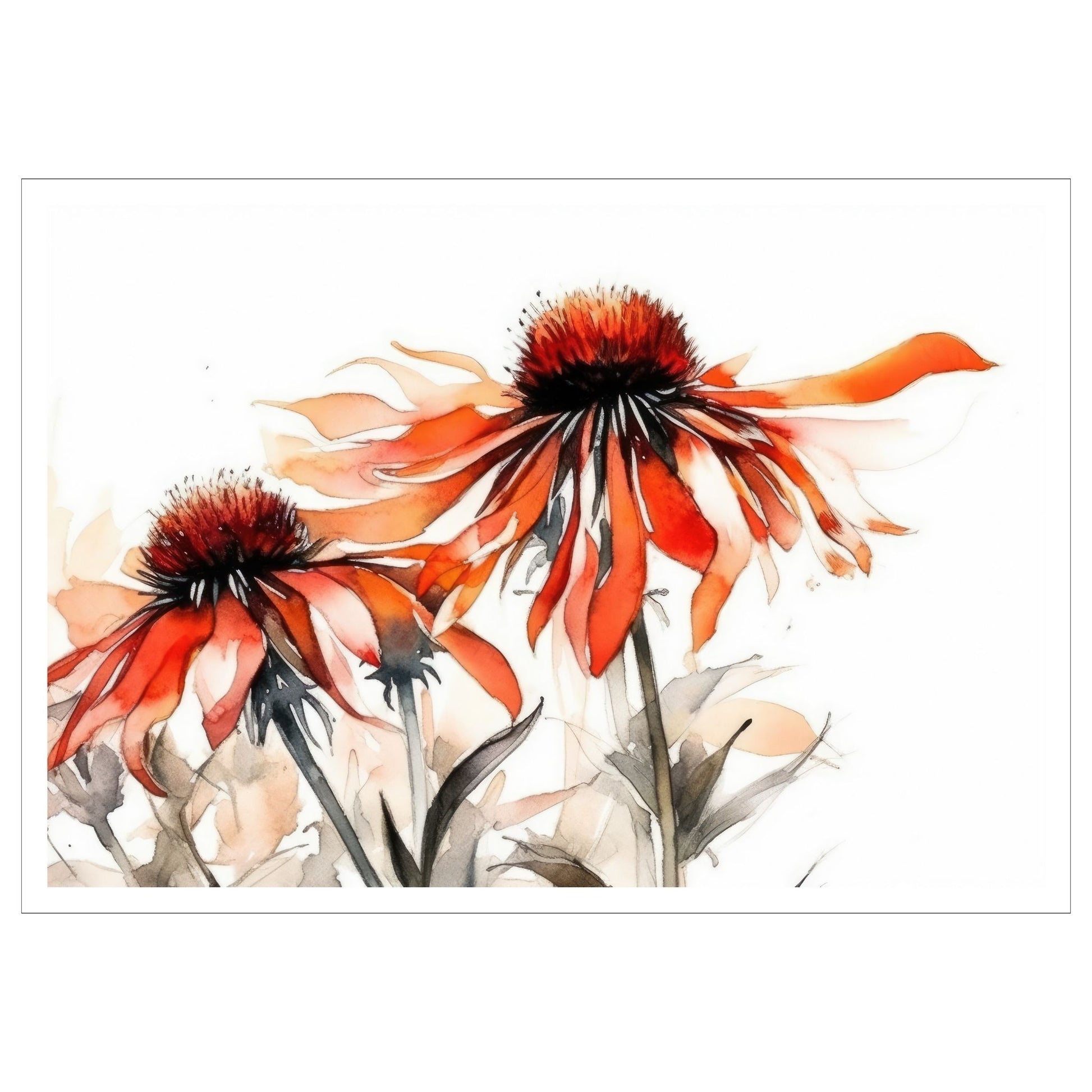Nydelig abstrakt motiv av Solhattblomster. Blomstene er i rød-oransje nyanser. Dette er en grafisk fremstilling på plakat. Plakaten trykkes med en hvit kant rundt.