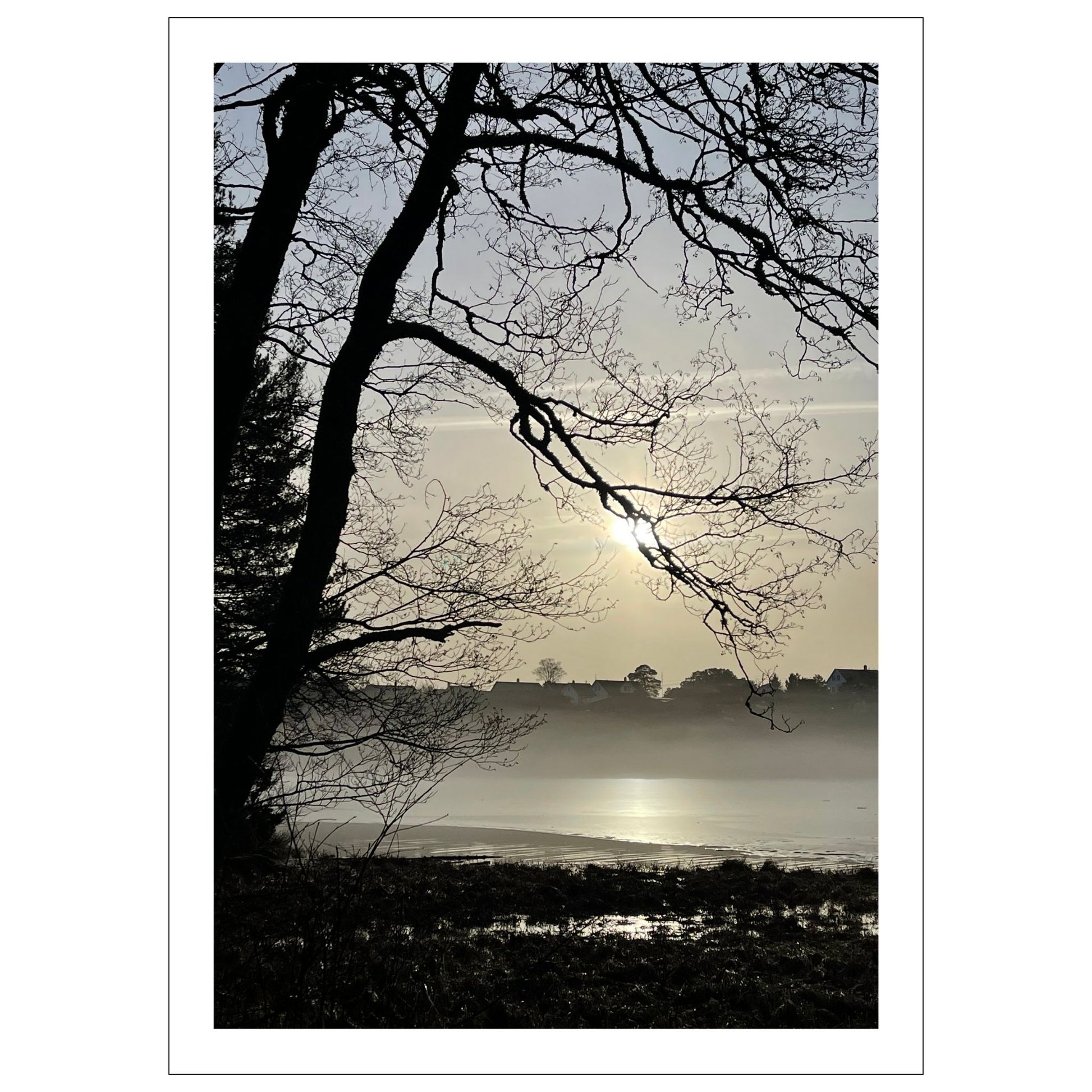 Stemningsfullt bilde fra Skranevatnet fotografert 29. januar 2024. Plakat og lerret.