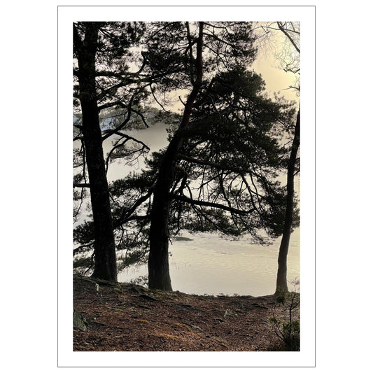 Stemningsfullt bilde fra Skranevatnet fotografert 29. januar 2024. Plakat og leret.