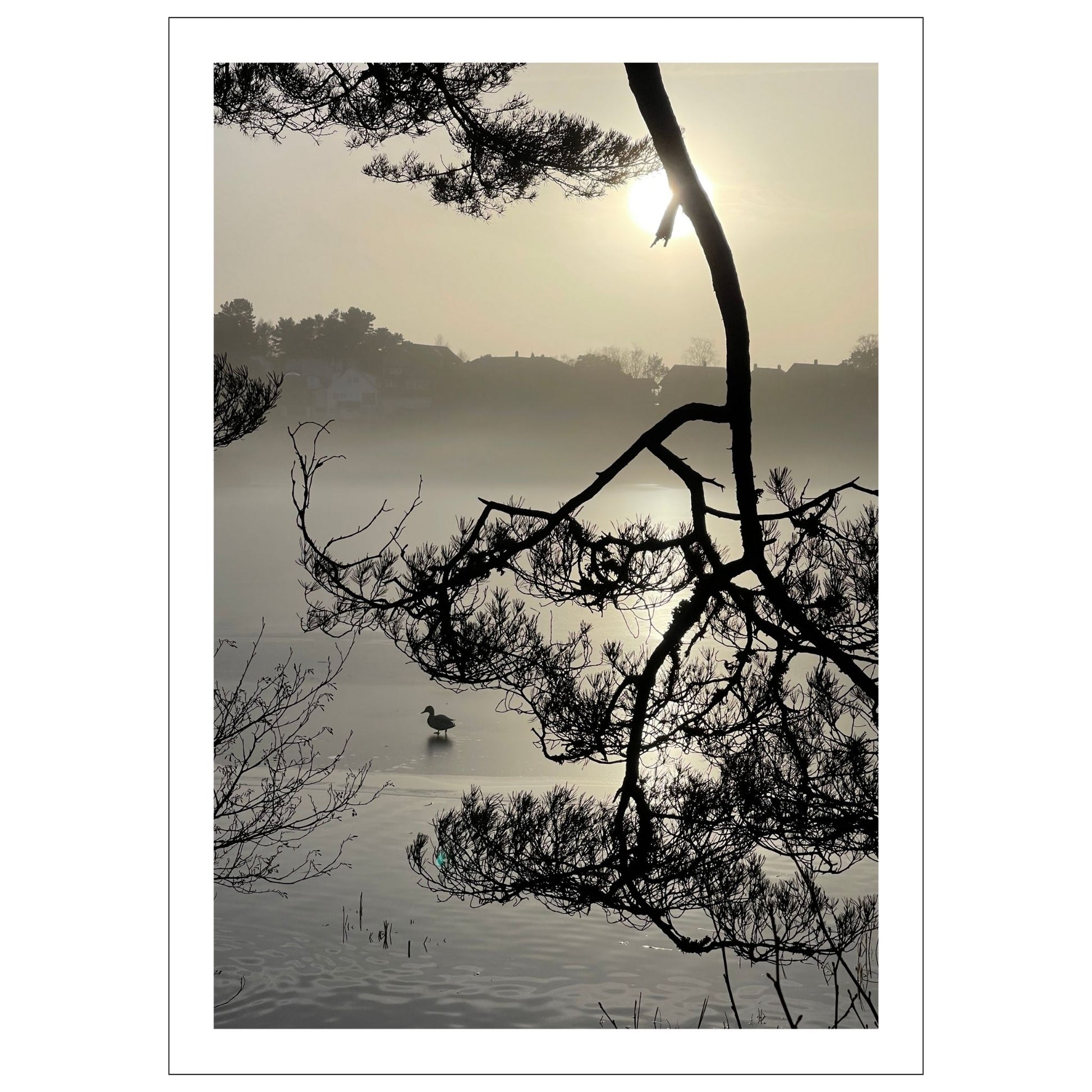Stemningsfullt bilde fra Skranevatnet fotografert 29. januar 2024. Plakat og lerret.