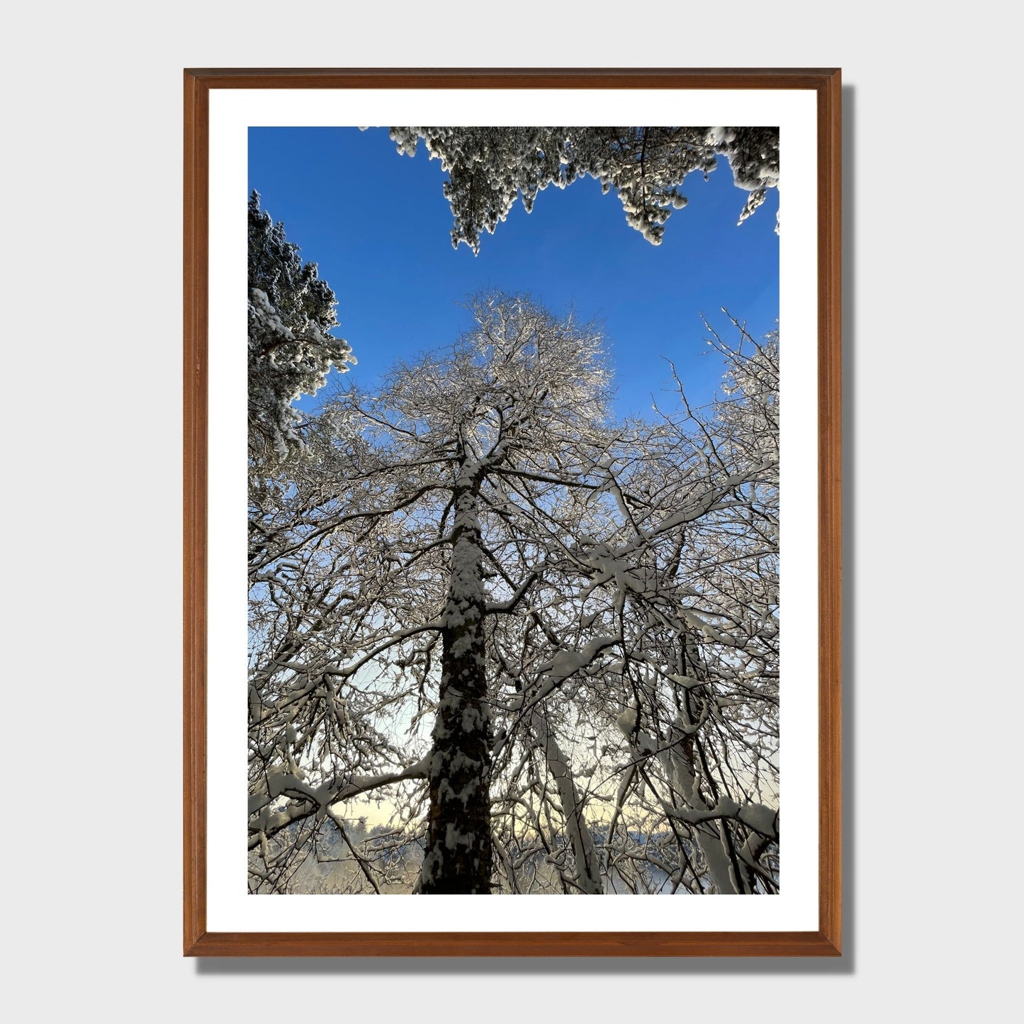 Magisk vinterdag ved Skranevatnet med blå himmel over snøkledde trær. Illustrasjon viser plakat i eikeramme.