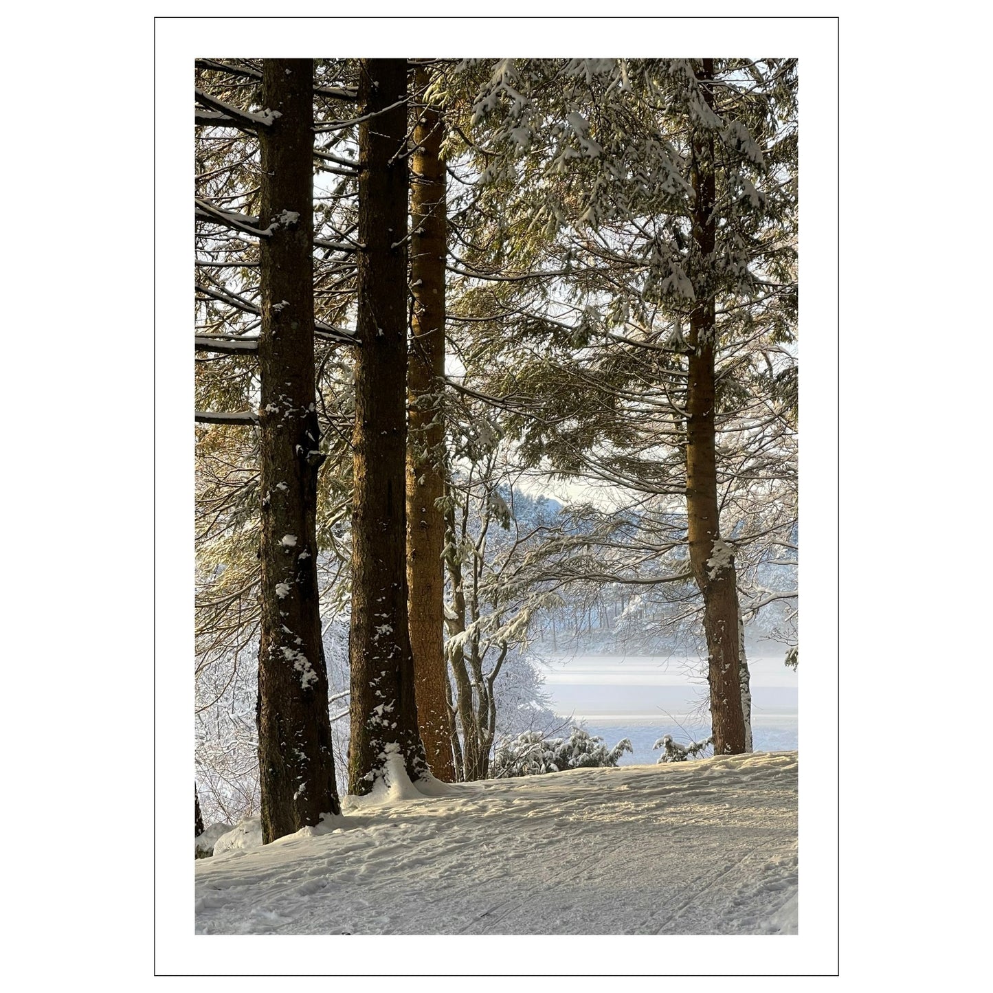 VINTERMAGI No20 er ett av fire motiv som inngår i Galleri Vinter No1. 