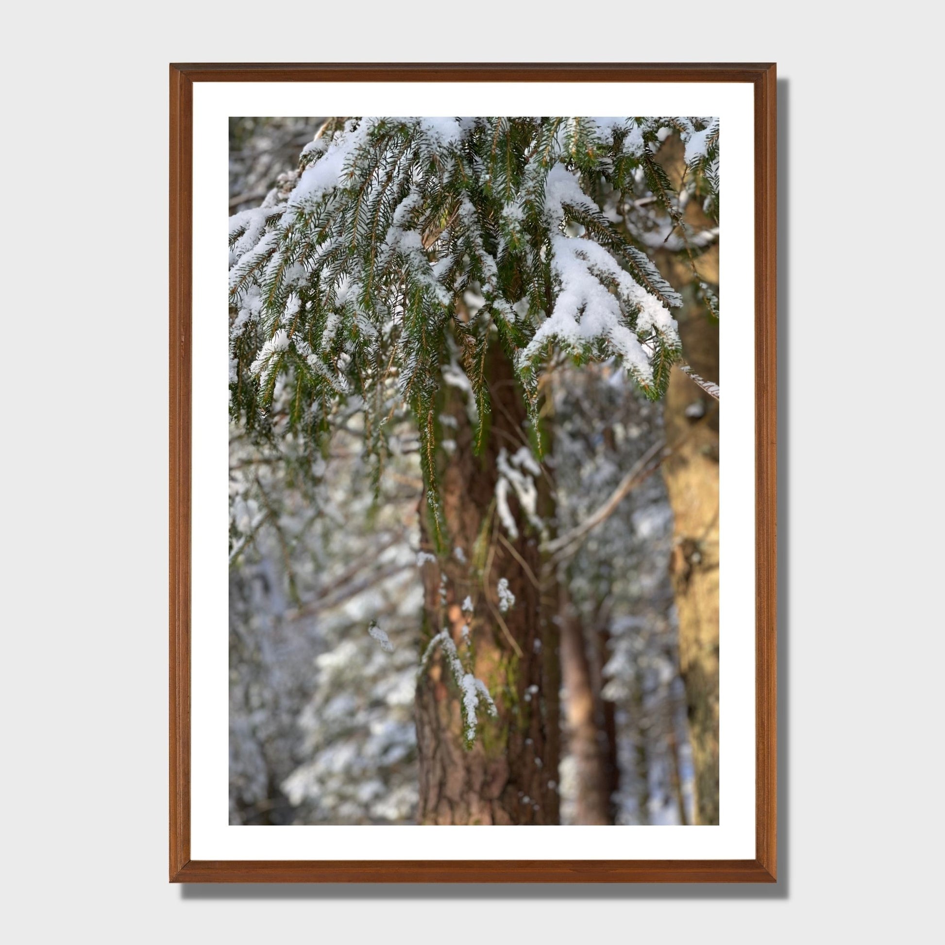 Magisk vinterdag ved Skranevatnet en desmberdag. Illustrasjon viser plakat i eikeramme.
