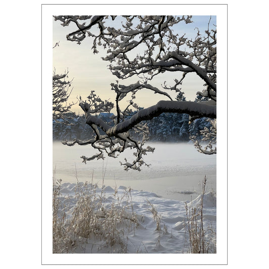 Magisk vinterdag ved Skranevatnet med frostrøyk i lav desembersol. Motivet fås som plakat og på lerret. Plakat har en hvit kant rundt som gir dybde og fremhever motivet.