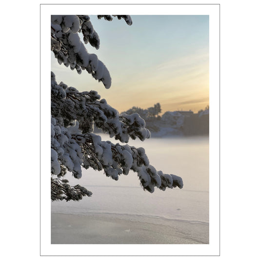 Magisk vinterdag ved Skranevatnet med frostrøyk i lav desembersol. Motivet fås som plakat og på lerret. Plakat har en hvit kant rundt som gir dybde og fremhever motivet.