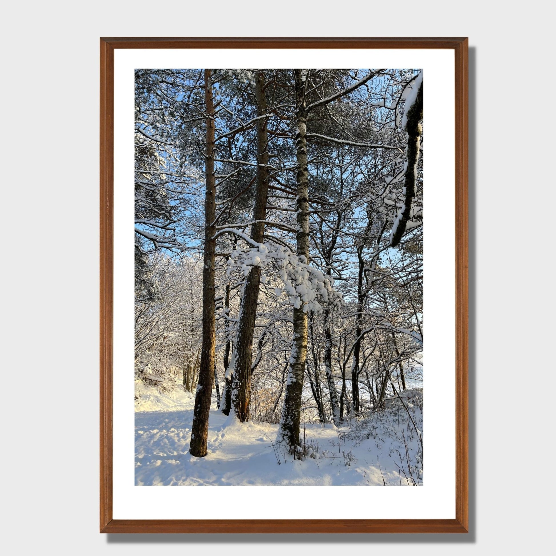 Magisk vinterdag ved Skranevatnet med lav desembersol. Illustrasjon viser plakat i eikeramme.