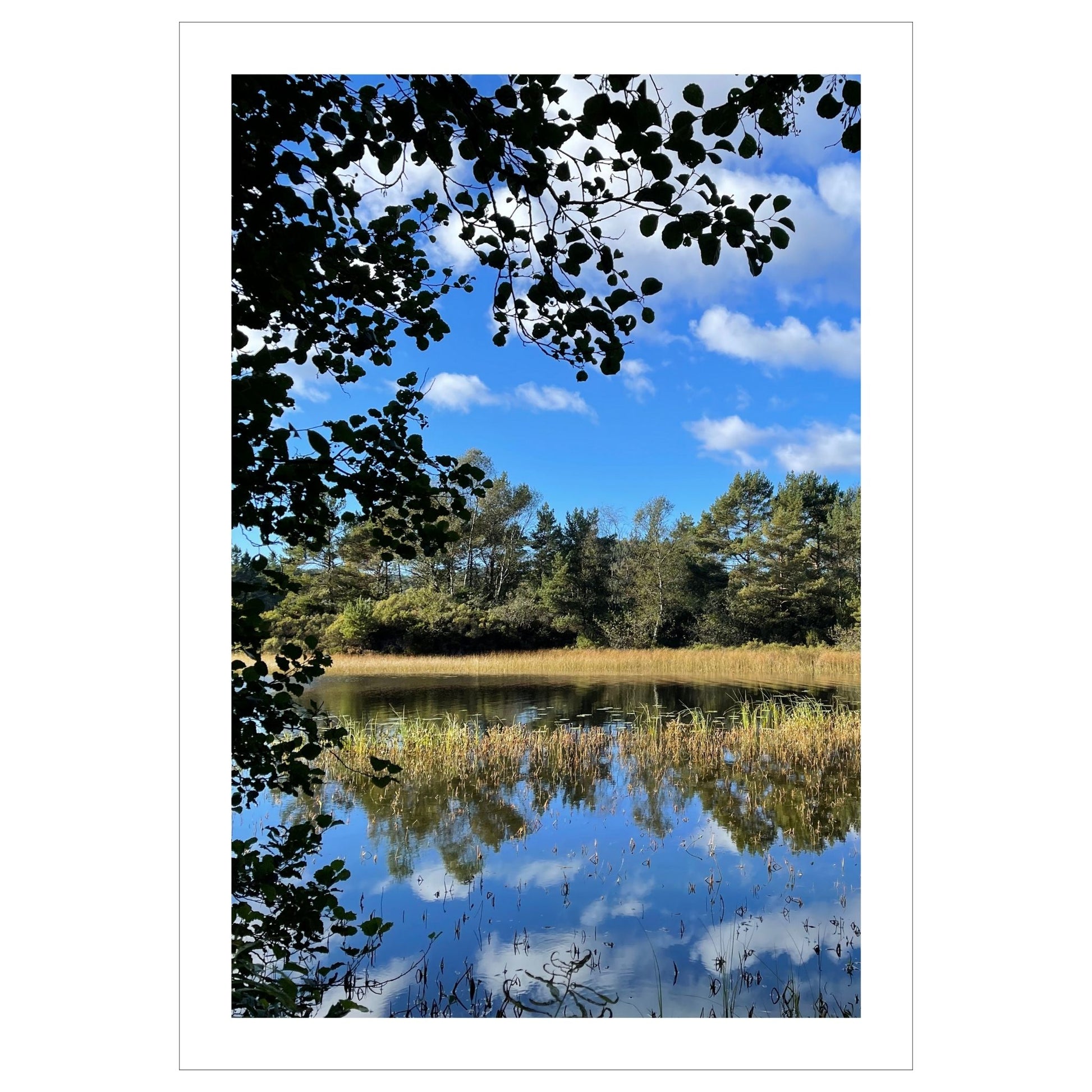 Dette motivet fanger en perfekt dag i september, med speilblankt vann som reflekterer den klare blå himmelen og de omkringliggende trærne
