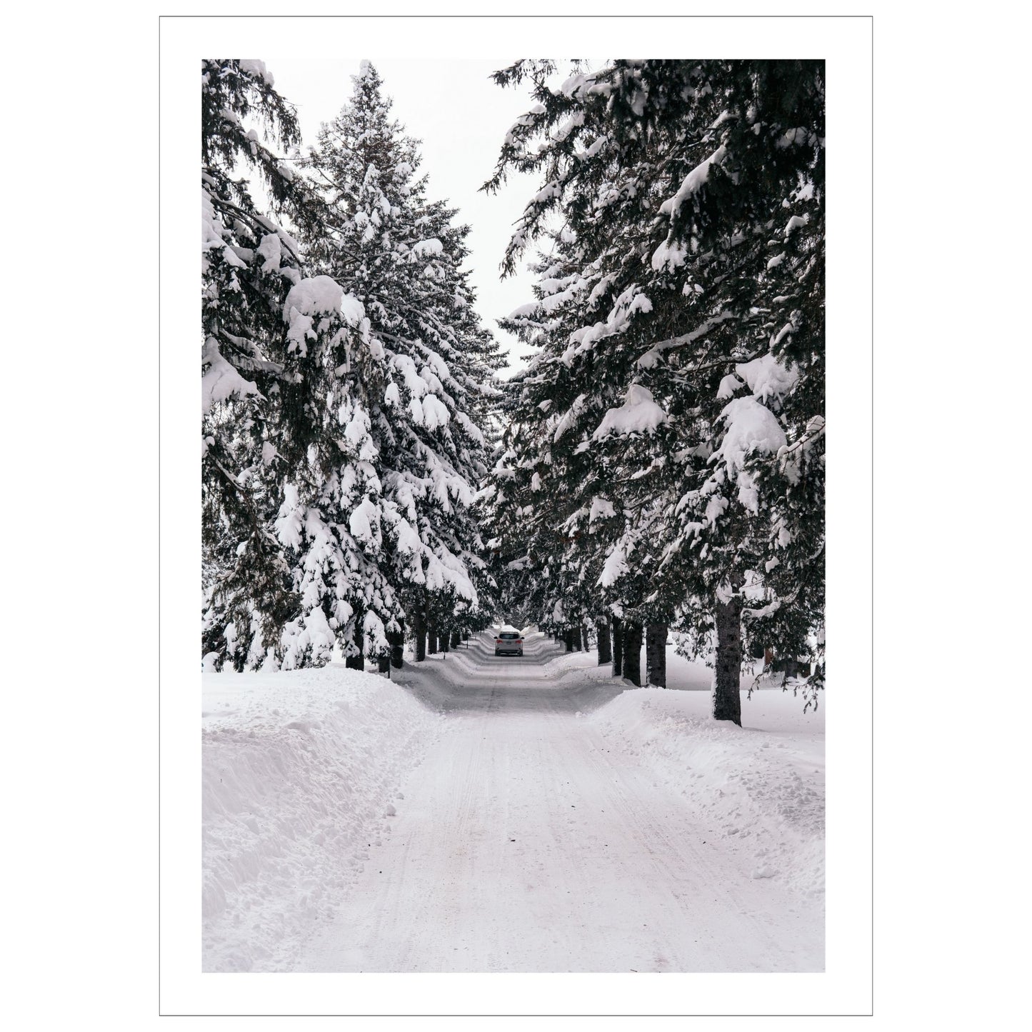 Vinterlandskap No1. Fotografi i sort-hvitt som plakat eller lerret. Plakat har en hvit kant rundt som gir dybde og fremhever motivet.
