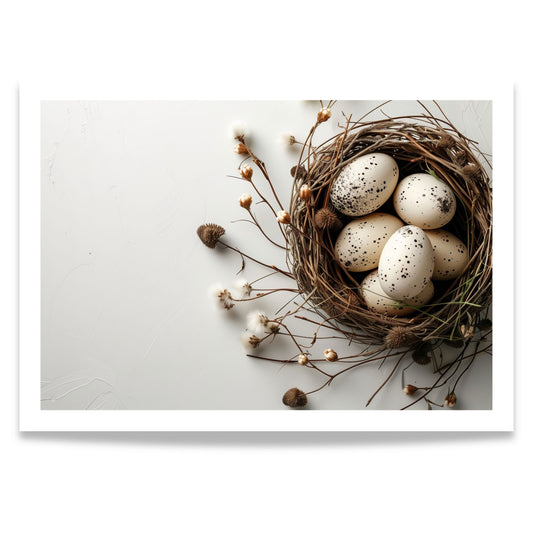 Påskeplakat med fuglerede og naturlige egg mot lys bakgrunn