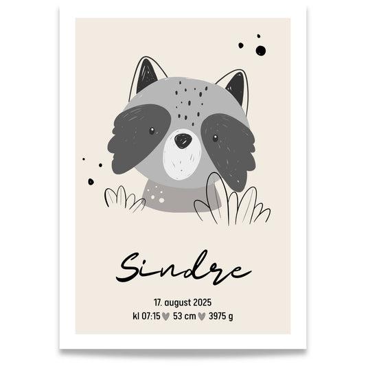 Personlig fødselsplakat med vaskebjørn og navn i nordisk stil