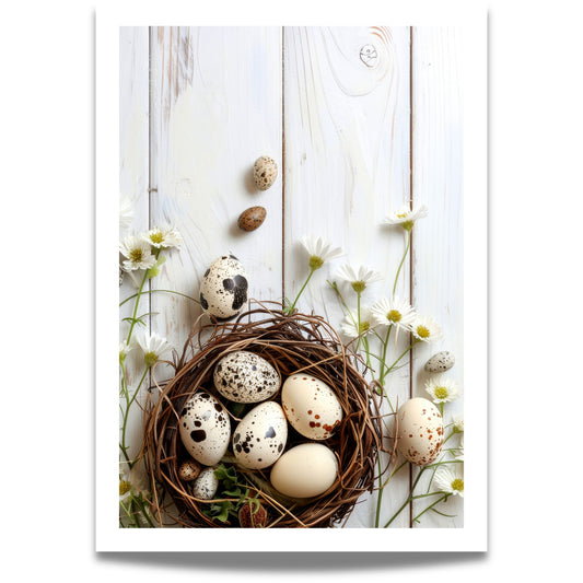 Plakat med fuglerede og egg på lys trebakgrunn