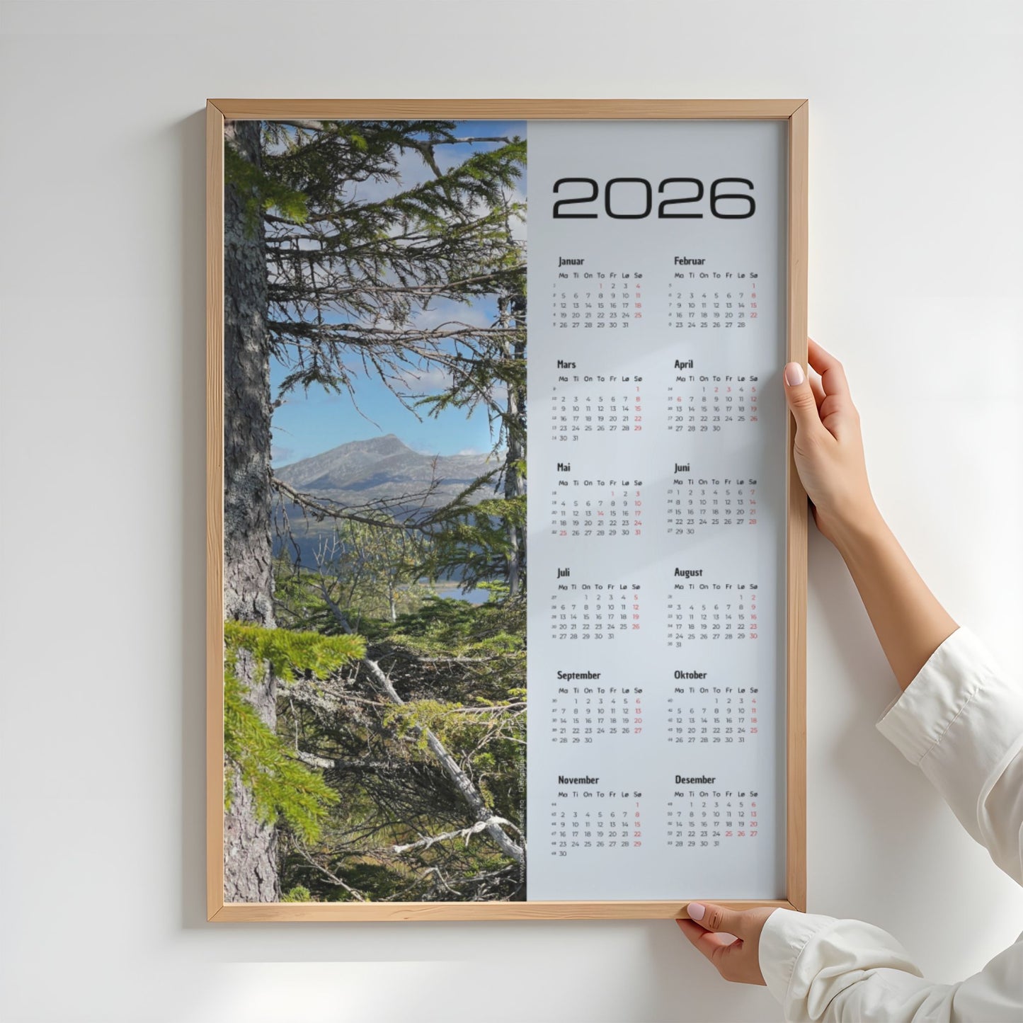 Kalender 2026 med fjellmotiv sett mellom kvister fra et stort grantre i Røyrvik. Illustrasjon viser kalender i eik ramme.