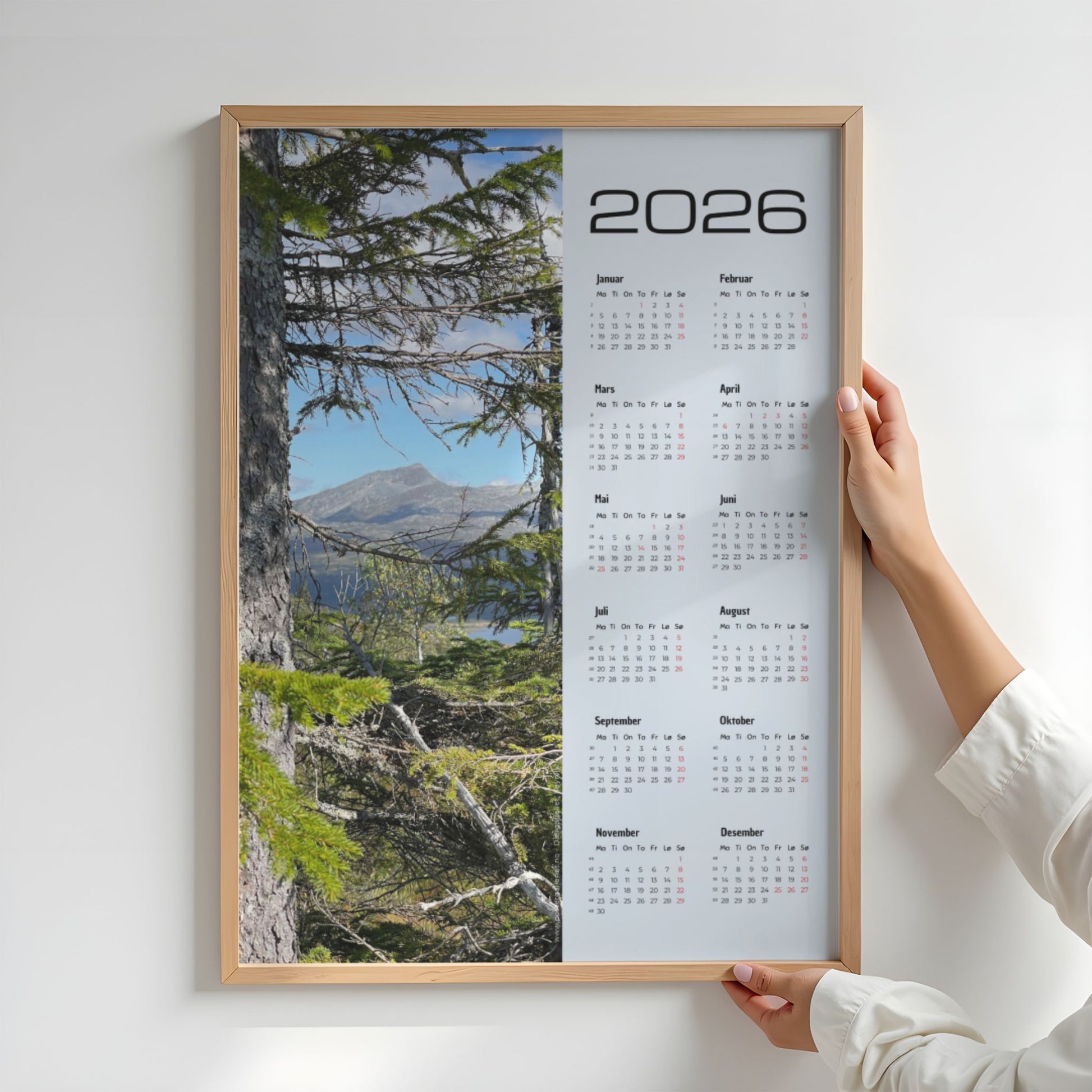 Kalender 2026 med fjellmotiv sett mellom kvister fra et stort grantre i Røyrvik. Illustrasjon viser kalender i eik ramme.