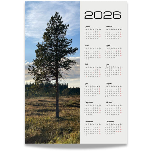 Kalender 2026 med foto av en stor furu i kveldslys.