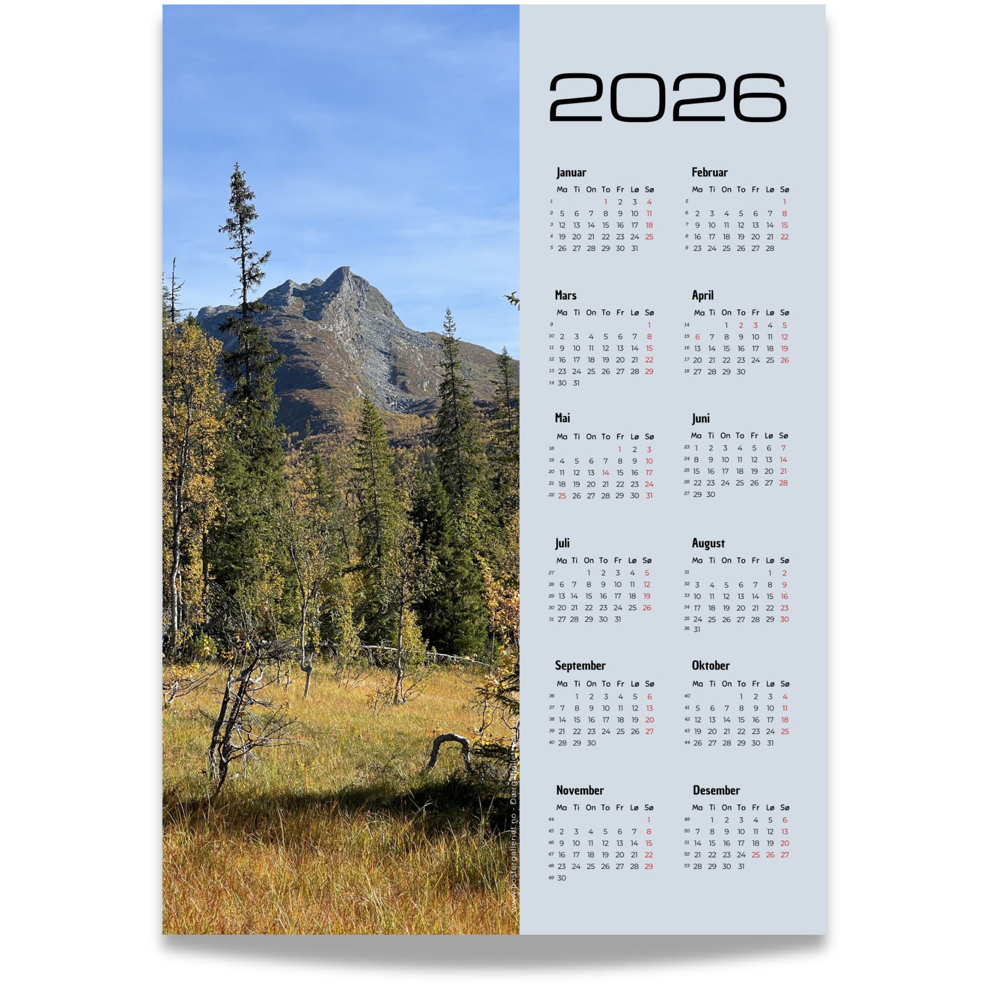 Kalender 2026 med foto av høstskog og fjell ved Dærgafjellet i Røyrvik.