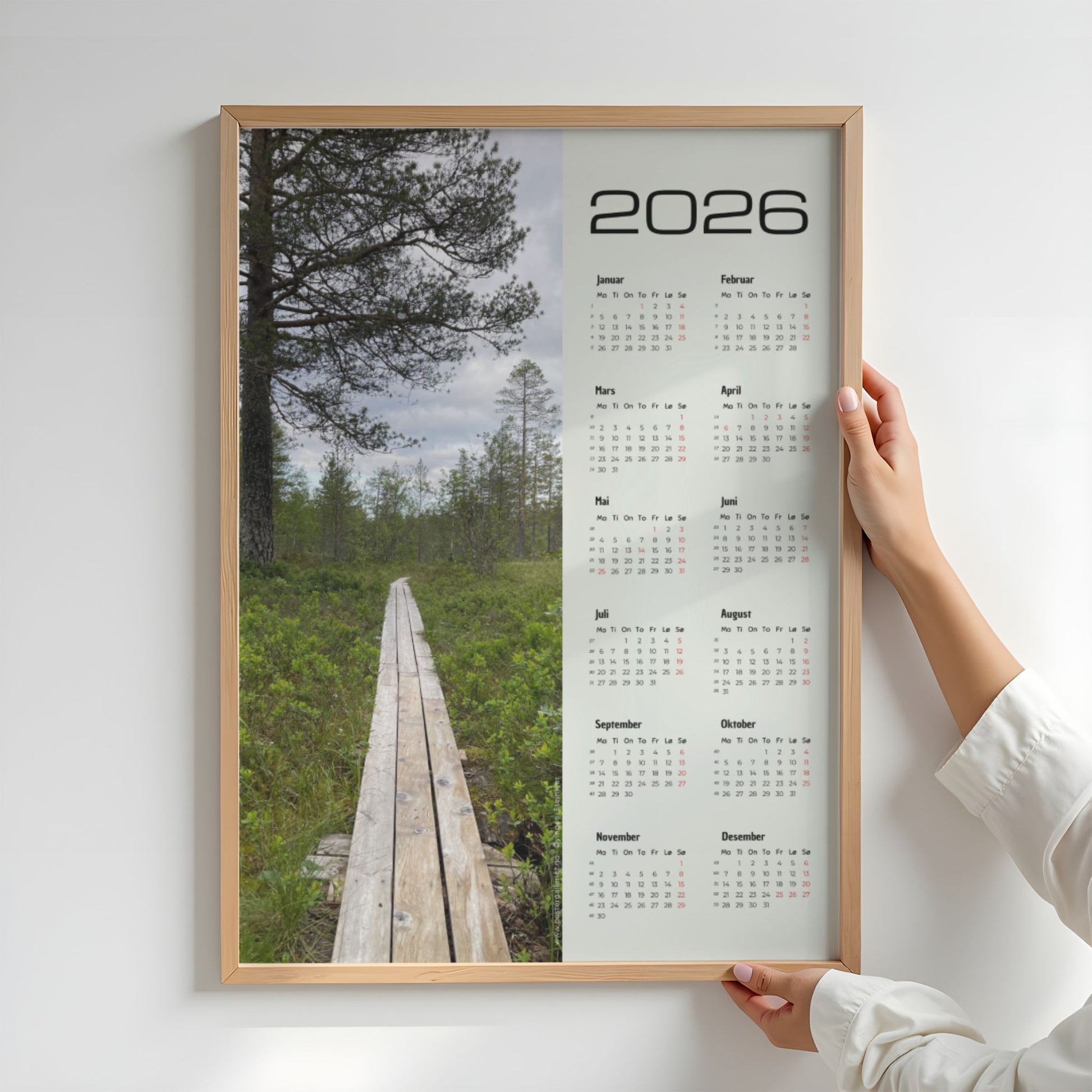 Kalender 2026 med foto av plankesti omgitt av grønne trær ved Øyingen. Illustrasjon viserkalender i eik ramme