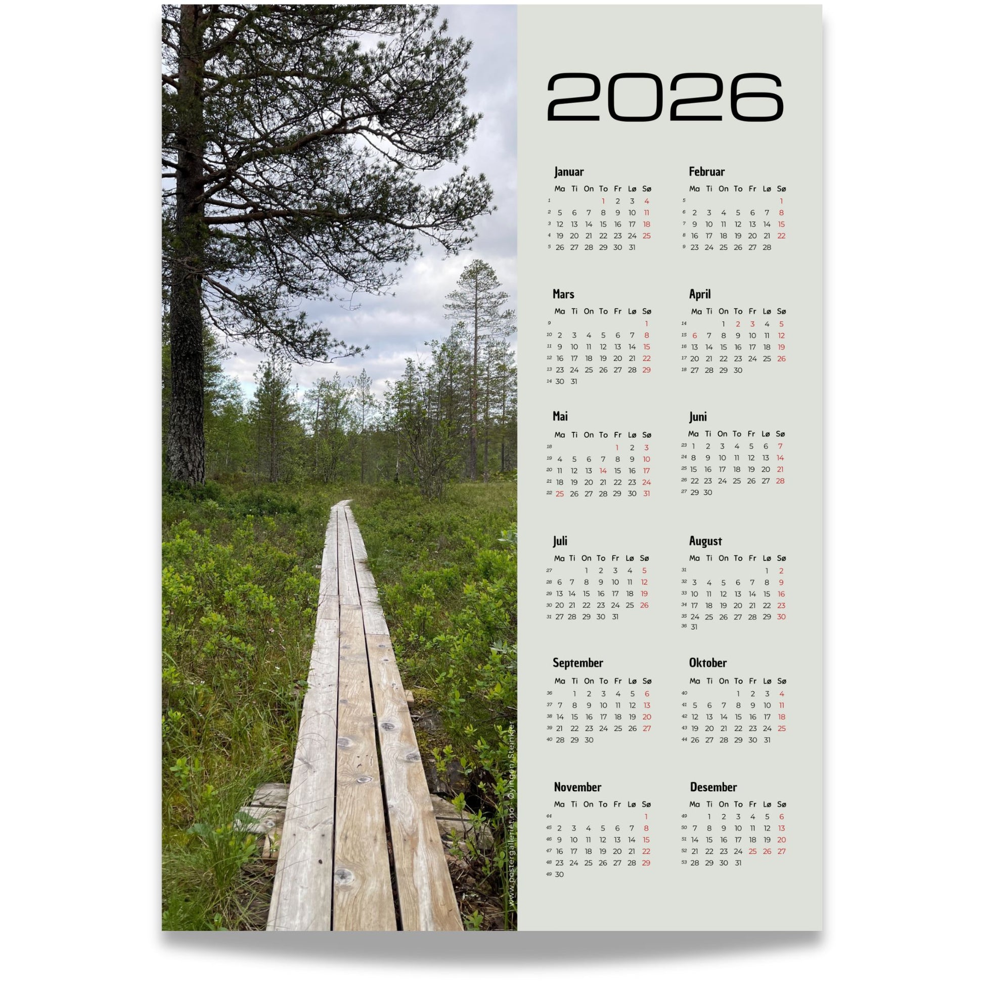 Kalender 2026 med foto av plankesti omgitt av grønne trær ved Øyingen.