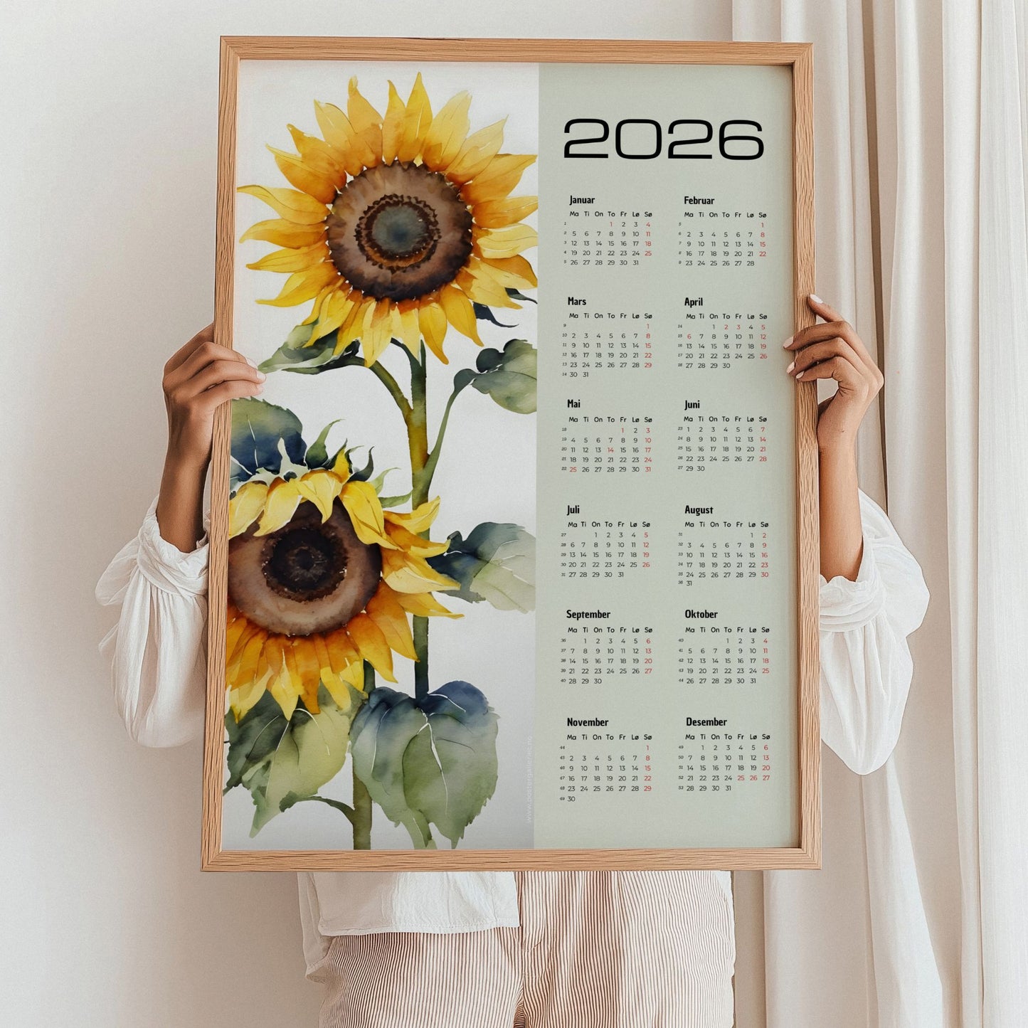 Kalender 2026 med store solsikker i akvarellstil ved siden av årskalender. Illustrasjon viser kalender i eik ramme.
