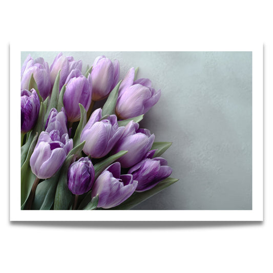 Plakat med lilla tulipaner i myke vårtoner
