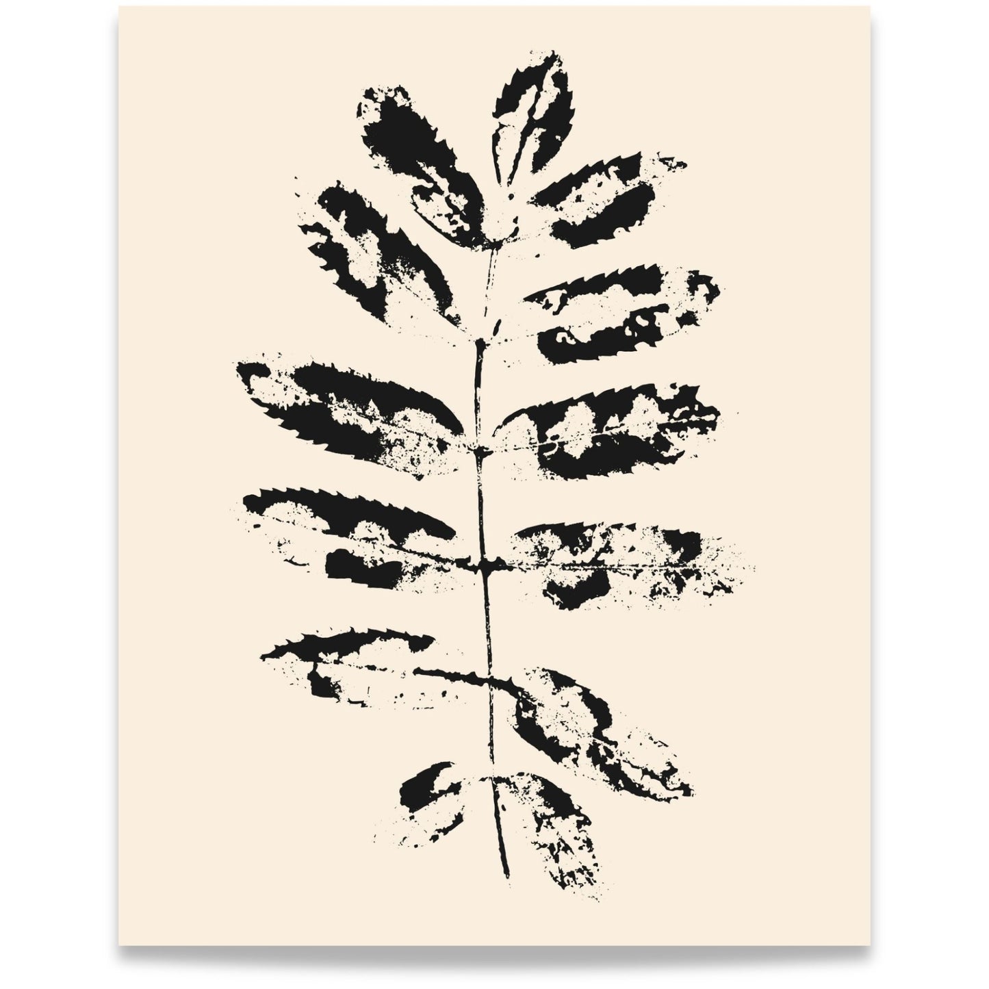 Nordic Botanical No1 – minimalistisk botanisk plakat med grafisk bladmotiv i sort på kremfarget bakgrunn format 40x50.