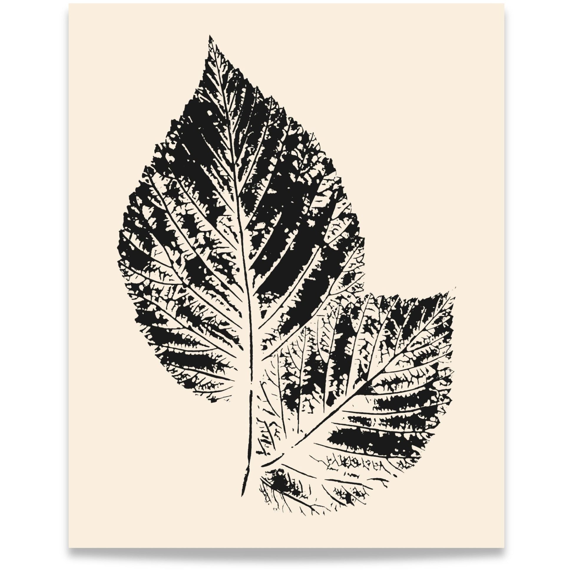 Nordic Botanical No2 minimalistisk botanisk plakat med to detaljerte blader i sort på varm beige bakgrunn . Format 40x50.
