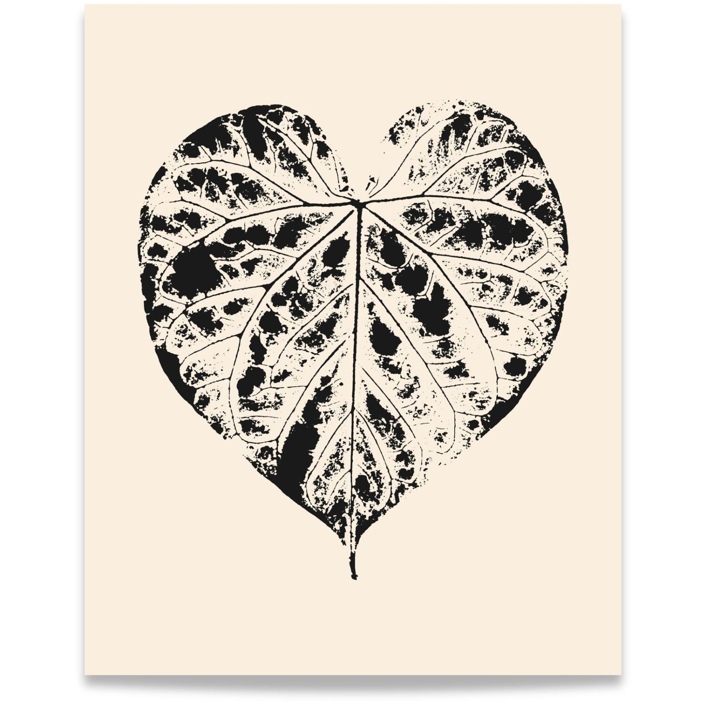 Nordic Botanical No3 botanisk plakat med grafisk hjerteformet blad i sort på varm beige bakgrunn. Format 40x50.