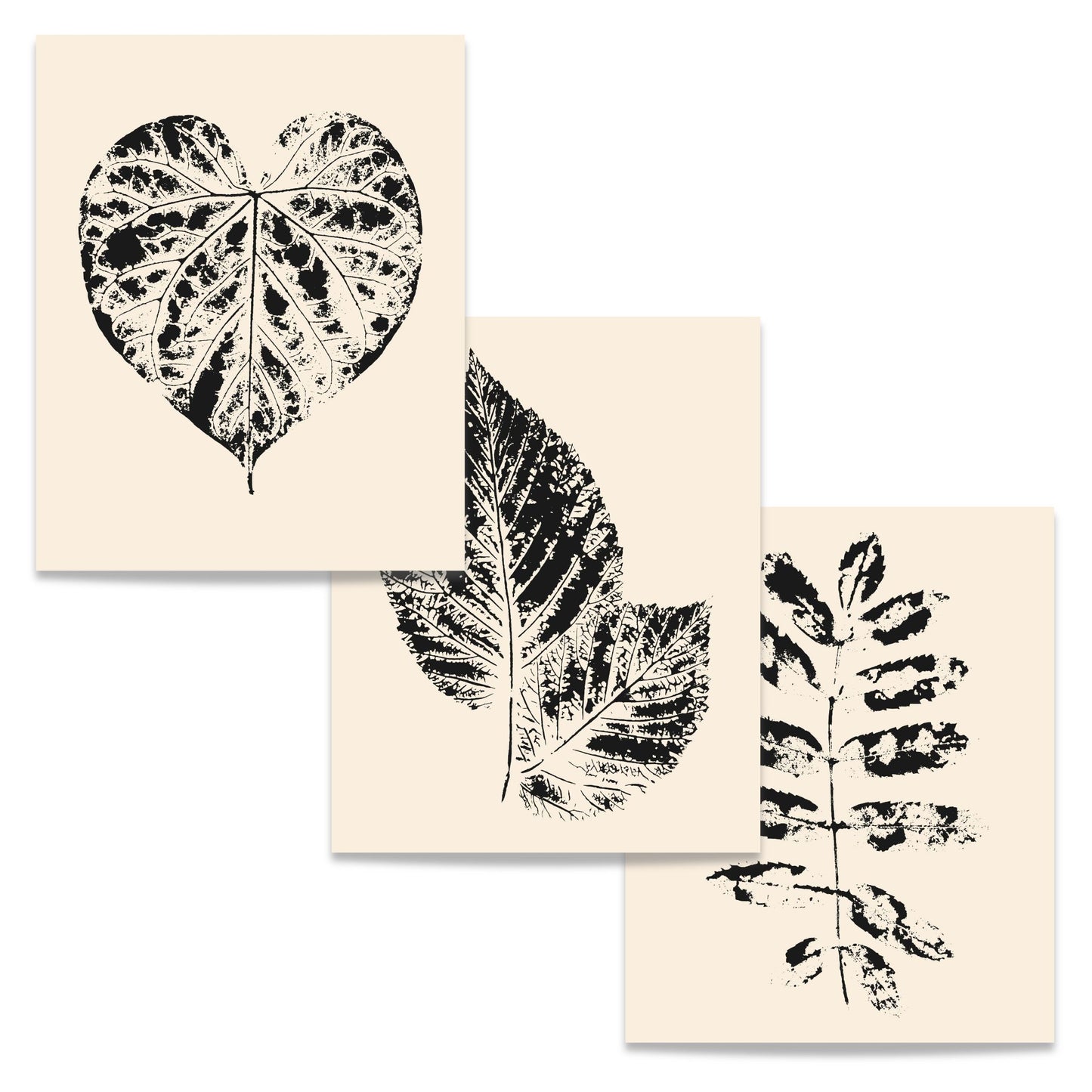Nordic Botanical Trio – tre botaniske plakater og lerret med 20 % rabatt ved kjøp av komplett trio. Format 40x50.