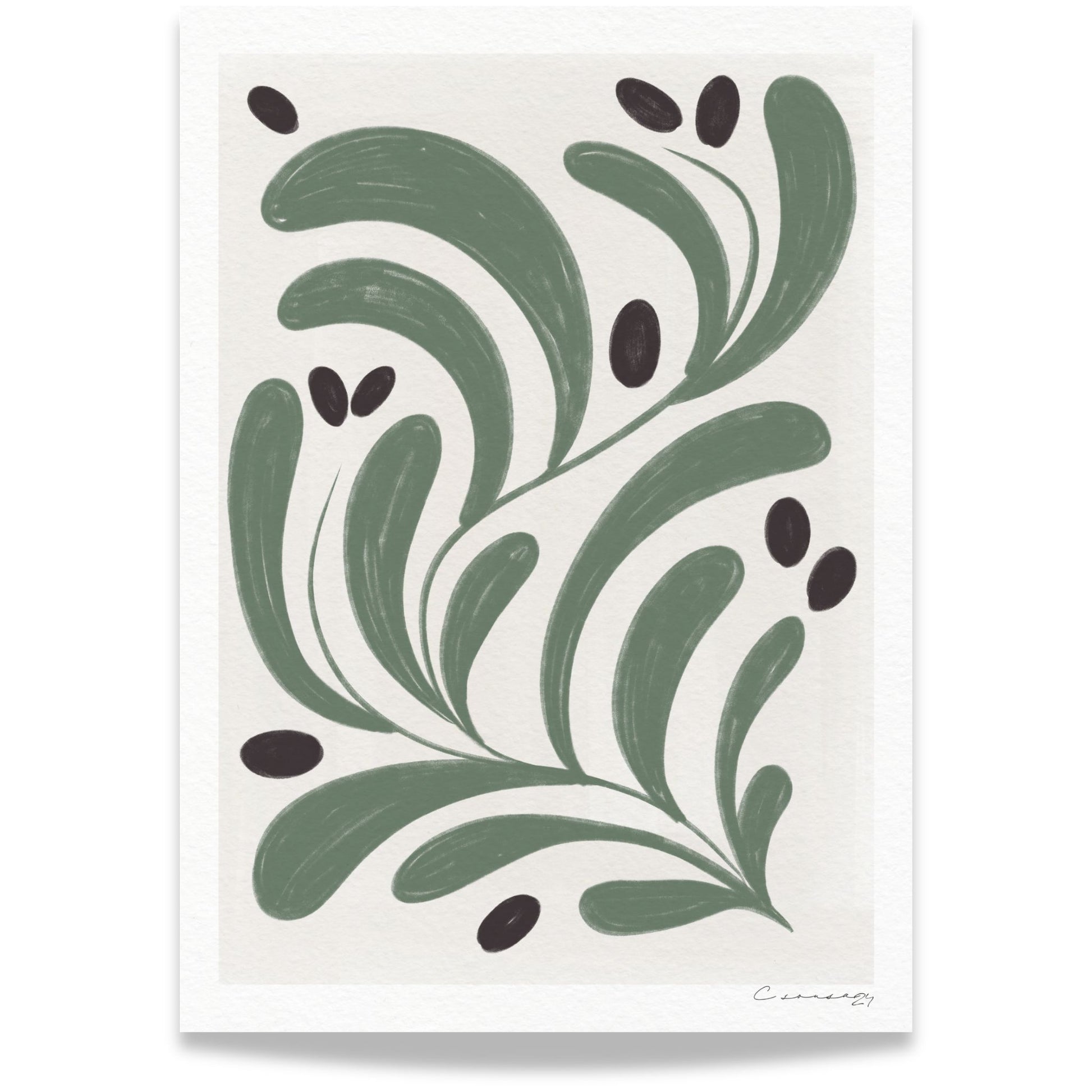 Olivenblad botanisk plakat med stiliserte olivengrønne blader i skandinavisk design